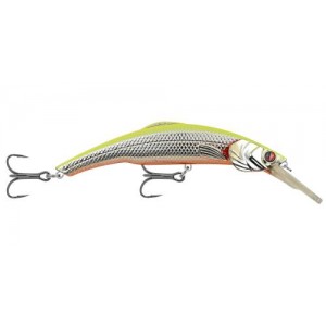 KINCHOU MINNOW SMDS5 DS53(Chromatic Sunrise)